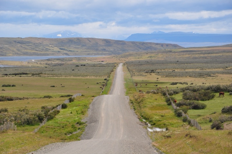 Camino Y-50 en la Patagonia chilena